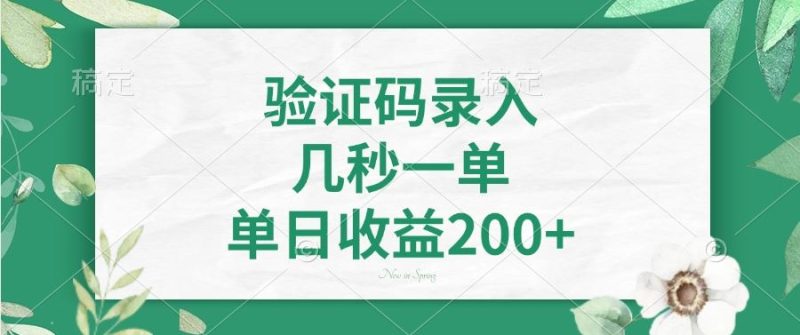 （14221期）验证码录入，几秒一单，单日收益200+-副业库