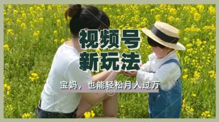 利用车祸意外视频，撸视频号分成收益，轻松月入过W，操作简单，适合宝妈，上班族-副业网