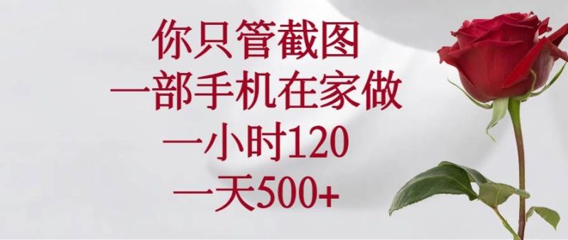 （14248期）你只管截图，一部手机在家做，一小时120，一天500+-副业库