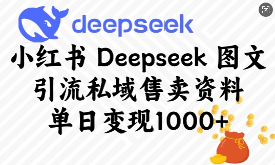 小红书Deepseek图文引流私域售卖资料，单日变现多张-副业网
