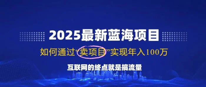 （14305期）2025最新蓝海项目，零门槛轻松复制，月入10万+，新手也能操作！-副业库