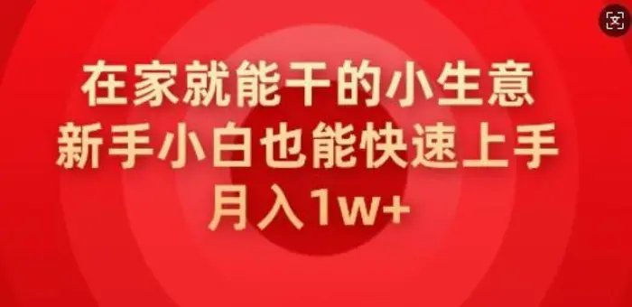 在家就能干的小生意，新手小白也能快速上手，月入1w-副业网