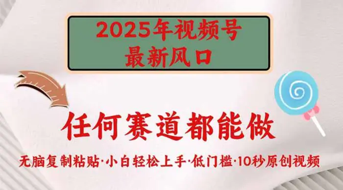 （14453期）2025年视频号新风口，低门槛只需要无脑执行-副业网
