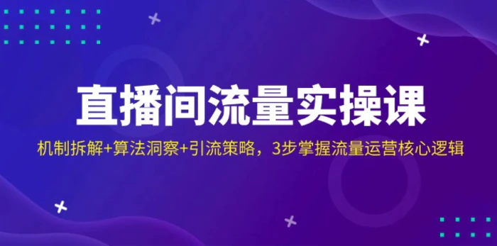 （14122期）直播间流量实操课：机制拆解+算法洞察+引流策略，3步掌握流量运营核心逻辑-副业网