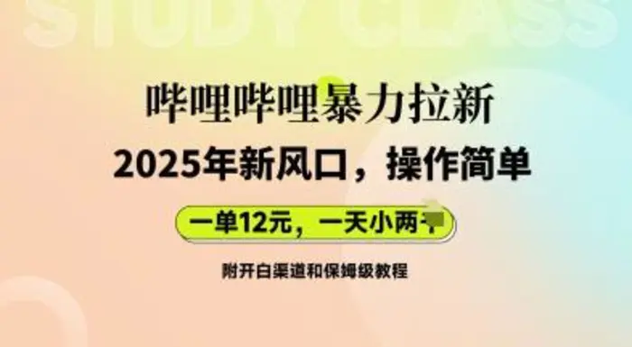 哔哩哔哩暴力拉新：2025年新风口，一单12元，一天数张(附开白渠道和保姆级教程)-副业网