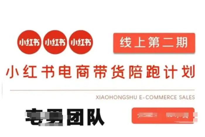 小红书电商带货课2期，月利润20个的小红书电商的有货源，无货源，虚拟产品，付费投流等整套玩法-副业网