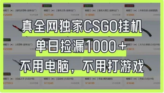 真全网独家CSGO挂机，单日捡漏1000+，不用电脑，不用养号-副业网