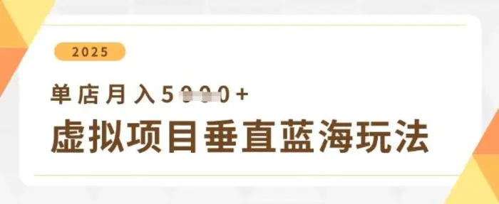 虚拟项目垂直玩法，实现单店月入5k+-副业网