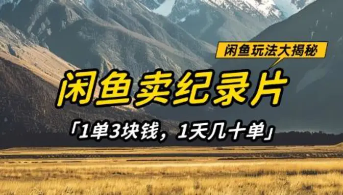 闲鱼卖纪录片1单3块钱，1天几十单，项目稳定有潜力-副业网