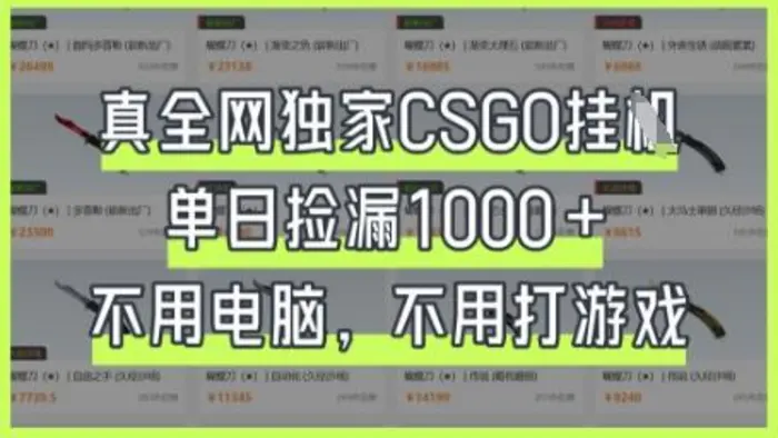 真全网独家CSGO挂G，单日捡漏1k+-副业库