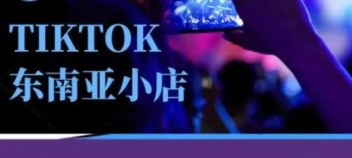 Tiktok东南亚跨境小店运营班，一门专业的TK小店运营培训课-副业库