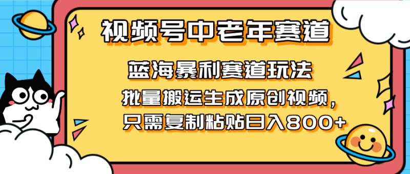 （14314期）2025视频号中老年短视频蓝海暴利风口！复制粘贴搬运视频单日赚800+，无…-副业网