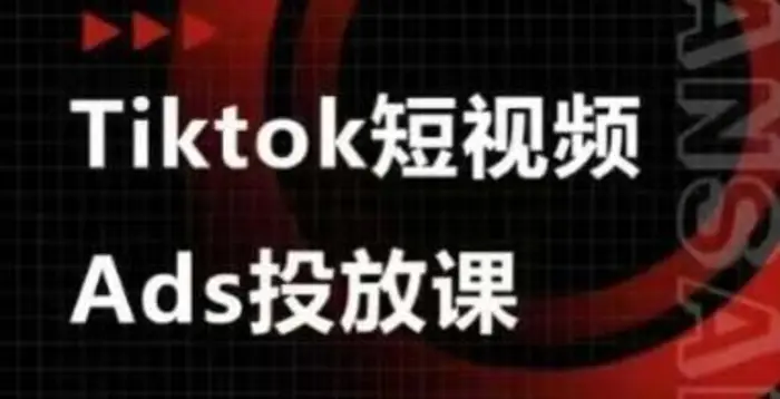 Ads视频投放课，tiktok短视频广告投放课-副业库