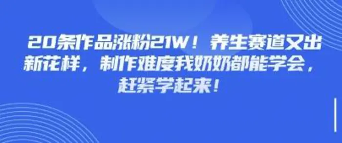 20条作品涨粉21W！养生赛道又出新花样，制作难度我奶奶都能学会，赶紧学起来-副业库