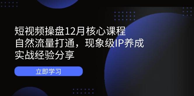 短视频操盘12月核心课程：自然流量打通，现象级IP养成，实战经验分享-副业库