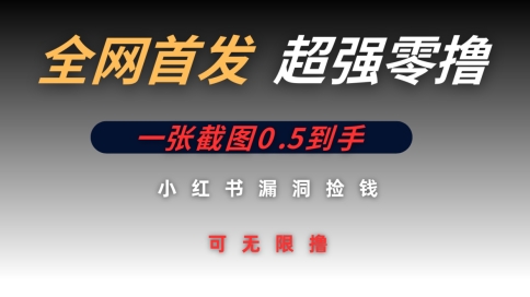 全网首发无限零撸捡钱项目，小红书一张截图0.5元可无限零撸-副业库