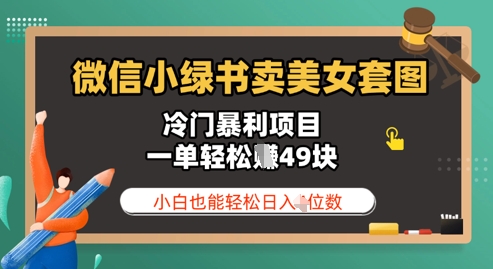 微信小绿书卖美女套图，冷门暴利项目，一单轻松挣49块，小白也能轻松日入3位数-副业库