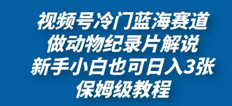 视频号冷门蓝海赛道，做动物纪录片解说，新手小白也日入3张，保姆级教程-副业库