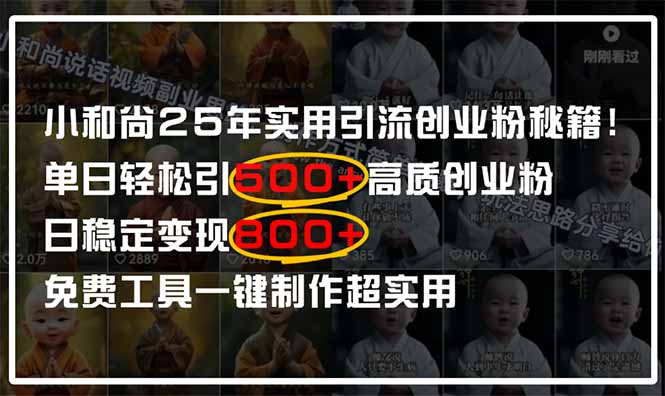 （14436期）小和尚2025年实用引流秘籍！单日轻松引500+高质量创业粉，日变现800+，…-副业库