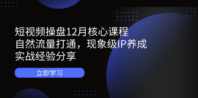 （14447期）短视频操盘12月核心课程：自然流量打通，现象级IP养成，实战经验分享-副业库