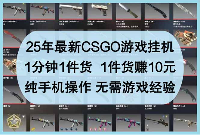 （14439期）25年最新CSGO游戏挂机，1分钟1件货，1件货赚10元 纯手机操作 无需游戏经验-副业库