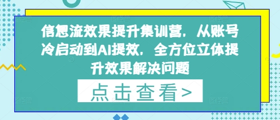 信息流效果提升集训营，从账号冷启动到AI提效，全方位立体提升效果解决问题-副业库