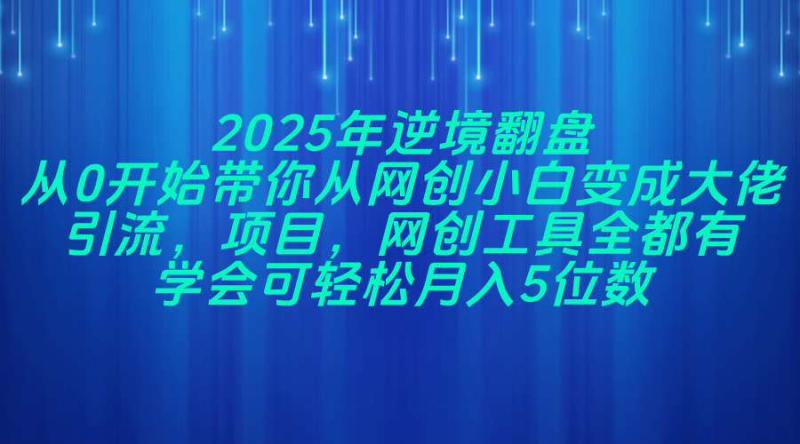 （14473期）2025年逆境翻盘，从0开始带你从网创小白变成大佬，引流，项目，网创工…-副业库