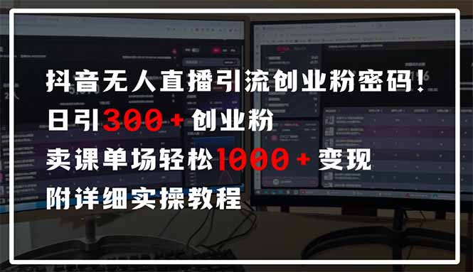 （14564期）抖音无人直播引流密码！日引300+创业粉 单场轻松1000+变现 附详细实操教程-副业网