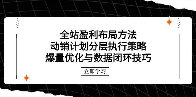 全站盈利布局方法：动销计划分层执行策略，爆量优化与数据闭环技巧-副业网