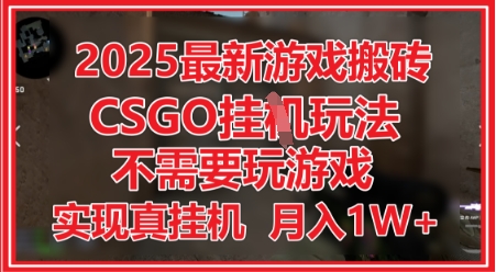 2025最新游戏搬砖，CSGO挂G，不需要玩游戏，实现真挂G，月入1W+-副业库