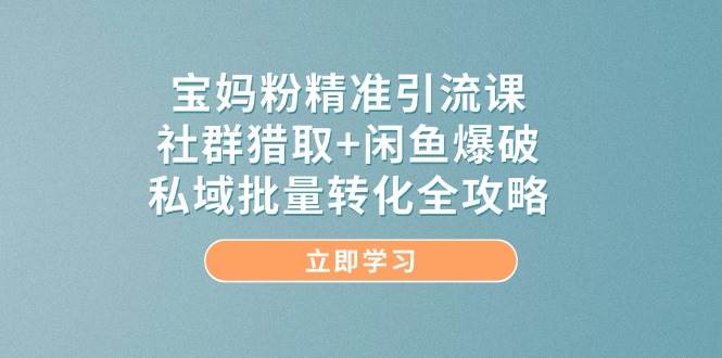 宝妈粉精准引流课，社群猎取+闲鱼爆破，私域批量转化全攻略-副业库