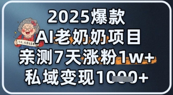2025爆款 AI 老奶奶项目：亲测 7 天涨粉 1W+，私域变现 1k+-副业库