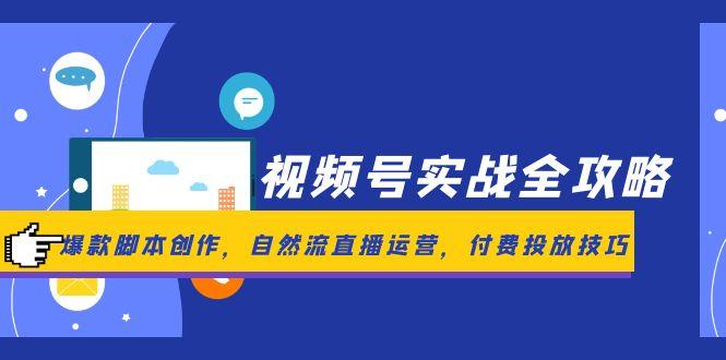 （14925期）视频号实战全攻略，爆款脚本创作，自然流直播运营，付费投放技巧-副业库