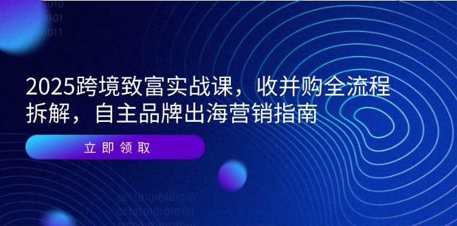 2025跨境致富实战课，收并购全流程拆解，自主品牌出海营销指南-副业库