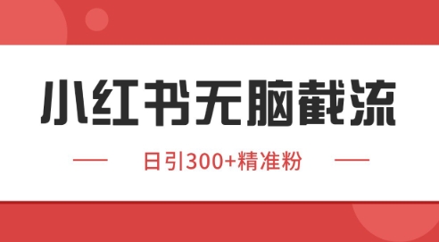 小红书截流同行客源，独家野路子获客玩法 日引200+暴力获客-副业网