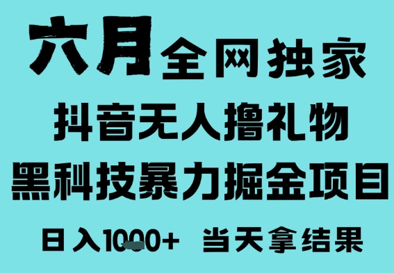 25年6月高爆抖音无人直播最新撸音浪掘金项目，门槛低小白可做，无脑日入1k，可矩阵放大-副业库