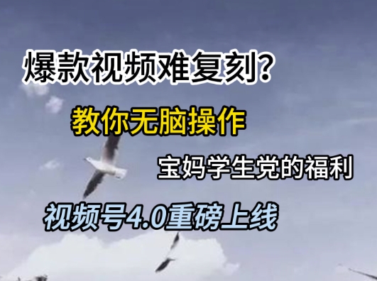视频号4.0重磅上线，爆款视频难复刻？教你无脑操作宝妈学生党的福利-副业库