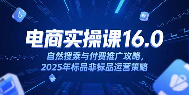 淘宝电商运营课16.0，自然搜索与付费推广攻略，2025年标品非标品运营策略-副业库