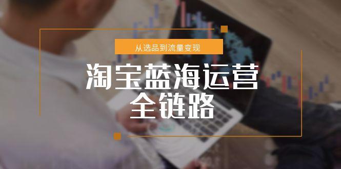 淘宝蓝海运营全链路，从选品到流量变现，小类目突围完整方案-副业库