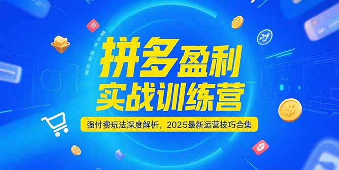 拼多多盈利实战训练营，强付费玩法深度解析，2025运营技巧合集-更新6月-副业网