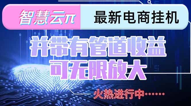 智慧云π电脑挂机单机每天收益300—500+ 并带有团队管道收益 可无限放大-副业库