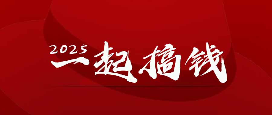 2025年，请“不择手段”去搞钱!-副业网