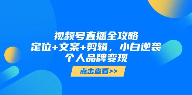 视频号直播全攻略，定位+文案+剪辑，小白逆袭个人品牌变现-副业网