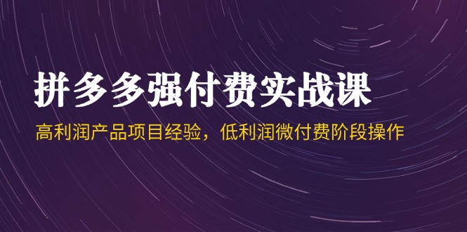 拼多多强付费实战课-44期，高利润产品项目经验，低利润微付费阶段操作-副业网