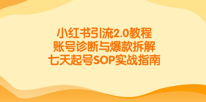 小红书引流2.0教程，账号诊断与爆款拆解，七天起号SOP实战指南-副业网