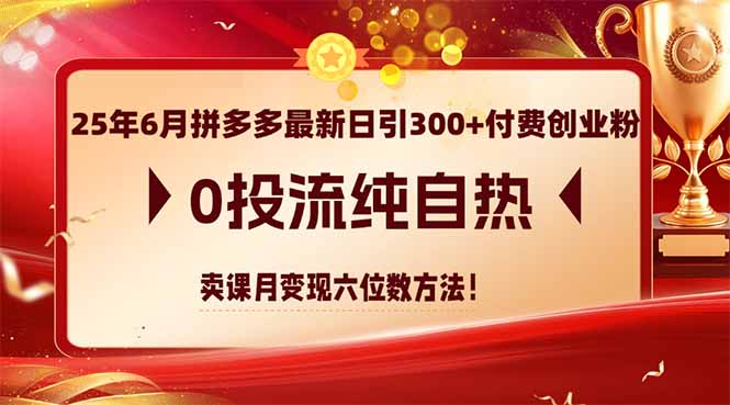 25年6月拼多多最新日引300+付费创业粉，0投流纯自热 卖课月变现六位数方法-副业网
