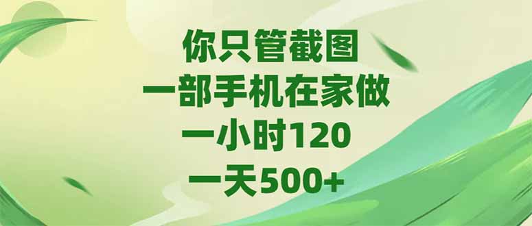 你只管截图，一部手机在家做，一小时120，-天500+-副业网