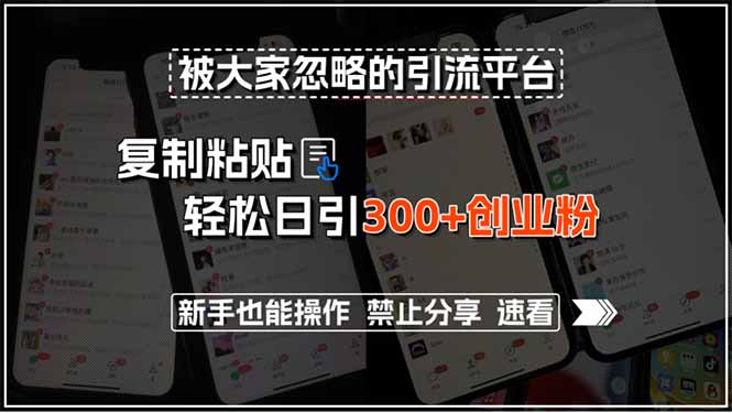 被大家忽略的引流平台，复制粘贴轻松日引300+创业粉，新手也能操作，禁…-副业网