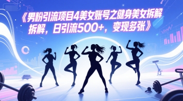 男粉引流项目4美女账号之健身美女拆解，日引流500+，变现多张-副业网