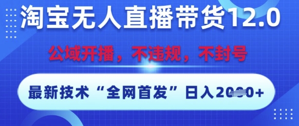 淘宝无人直播带货12.0，最新技术，不封号，不违规，操作简单，开播爆单，日入多张【揭秘】-副业网